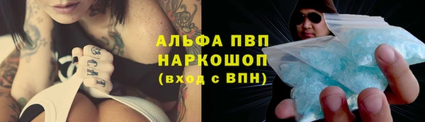 apvp Алзамай