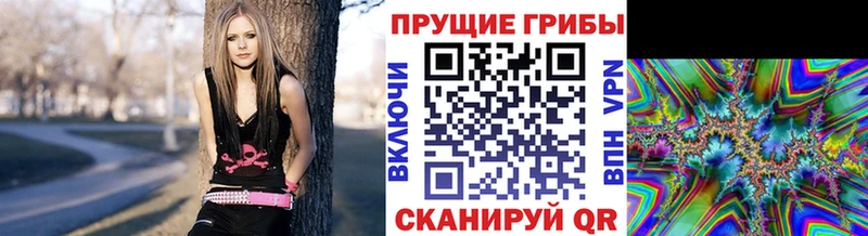 Галлюциногенные грибы прущие грибы  mega   Стародуб 